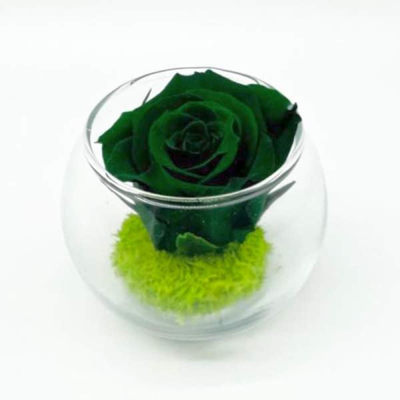 Mini Emerald R